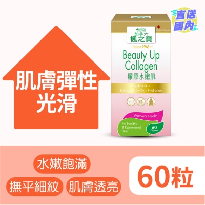 ADRIEN GAGNON Beauty Up Collagen 60 Capsules