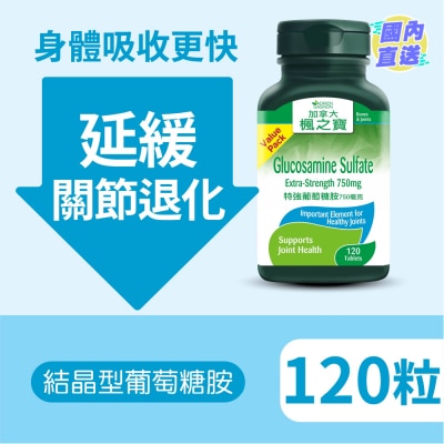 ADRIEN GAGNON Glucosamine Sulfate Extra-Strength 750mg