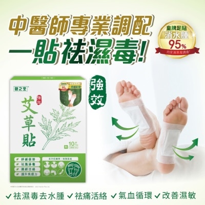 HMT Chinese Herbal Health Patch 10S