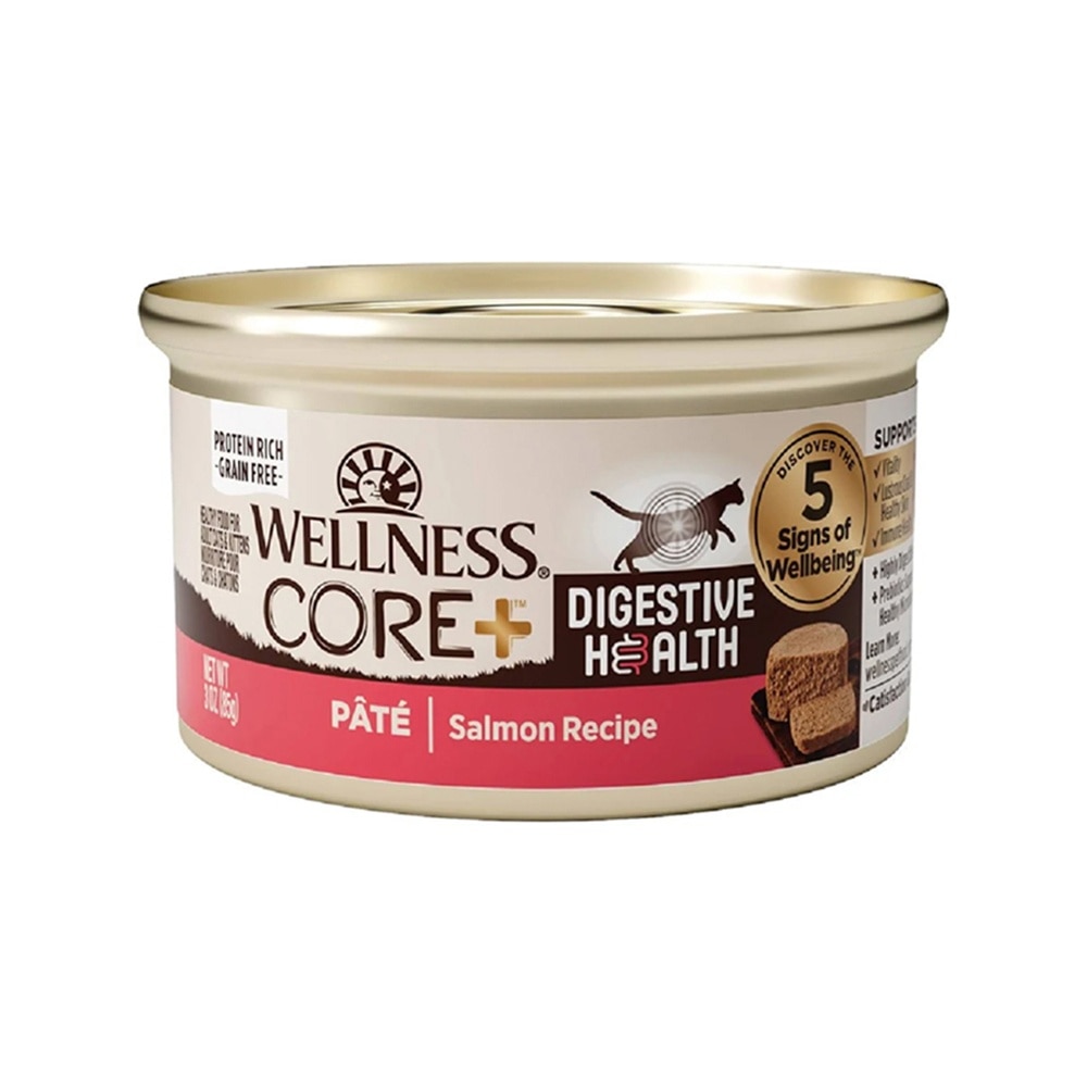 CORE Digestive Health Salmon Flavor (85g) Adult Cat Can 06127 image