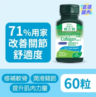 加拿大AG「枫之宝」 葡萄糖胺及胶原蛋白
