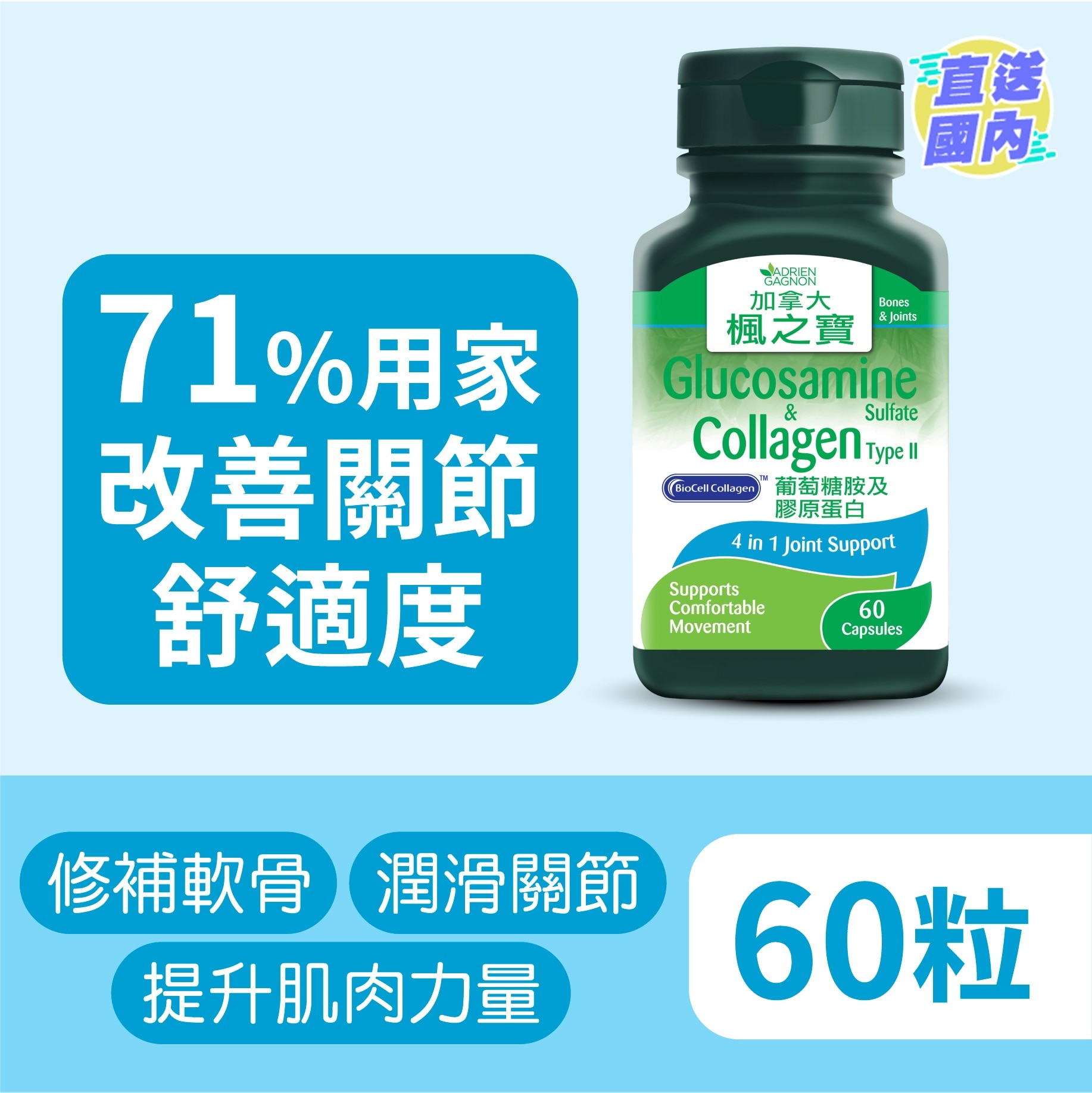 葡萄糖胺及胶原蛋白