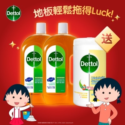DETTOL 滴露消毒药水1.2L双瓶装礼品装（新旧包装随机发送）