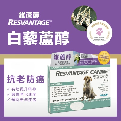 POINTERS PHARMA Resvantage® 維蘆醇 白藜蘆醇 (犬用) 30粒裝