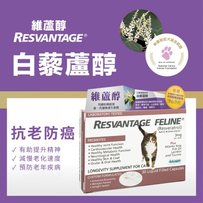 POINTERS PHARMA Resvantage® 維蘆醇 白藜蘆醇 (貓用) 30粒裝