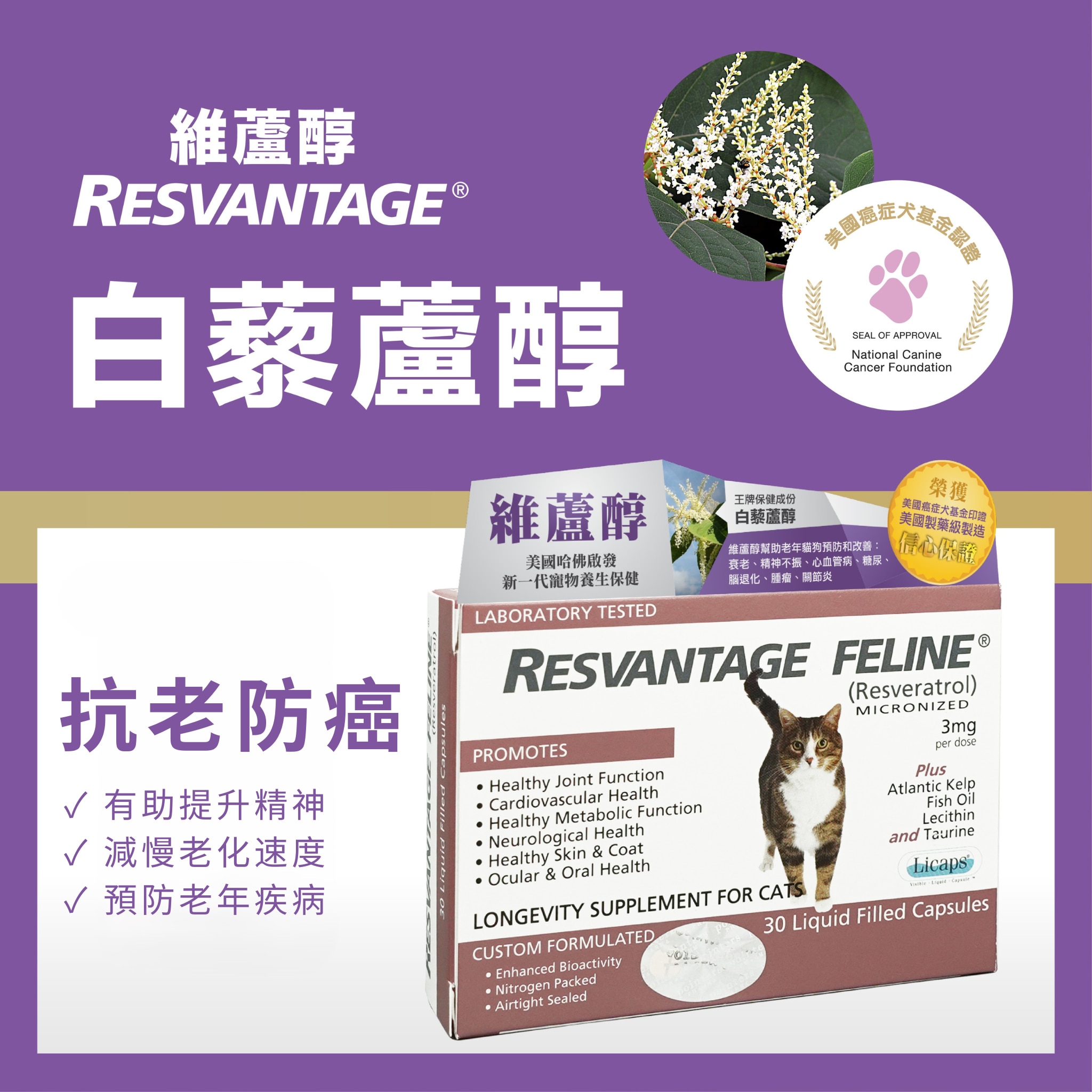 Resvantage® 维芦醇 白藜芦醇 (猫用) 30粒装 image