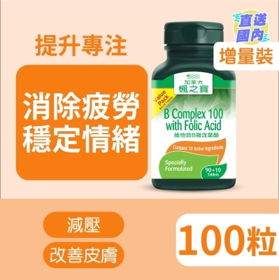 ADRIEN GAGNON B Complex 100 with Folic Acid  Value Pack 90+10Tablets