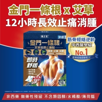 HMT  Chinese Herbal Pain Relieving Patch (Ice Cooling) 10S