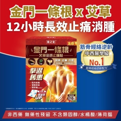 HMT Chinese Herbal Pain Relief Patch (Hot Warming) 10S