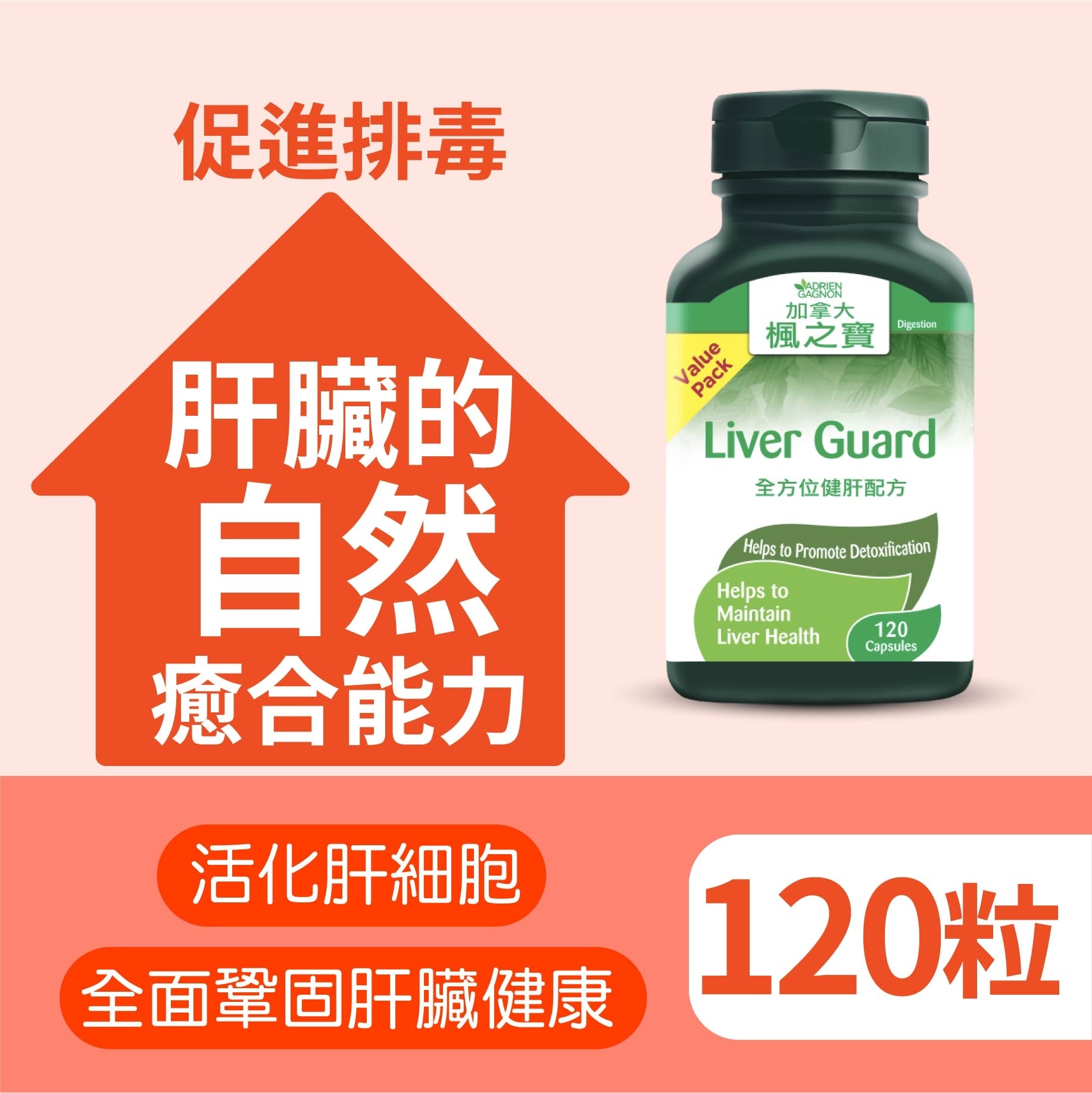 全方位健肝配方 增量裝 120粒