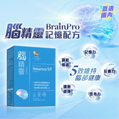 維特健靈 腦精靈記憶配方40粒