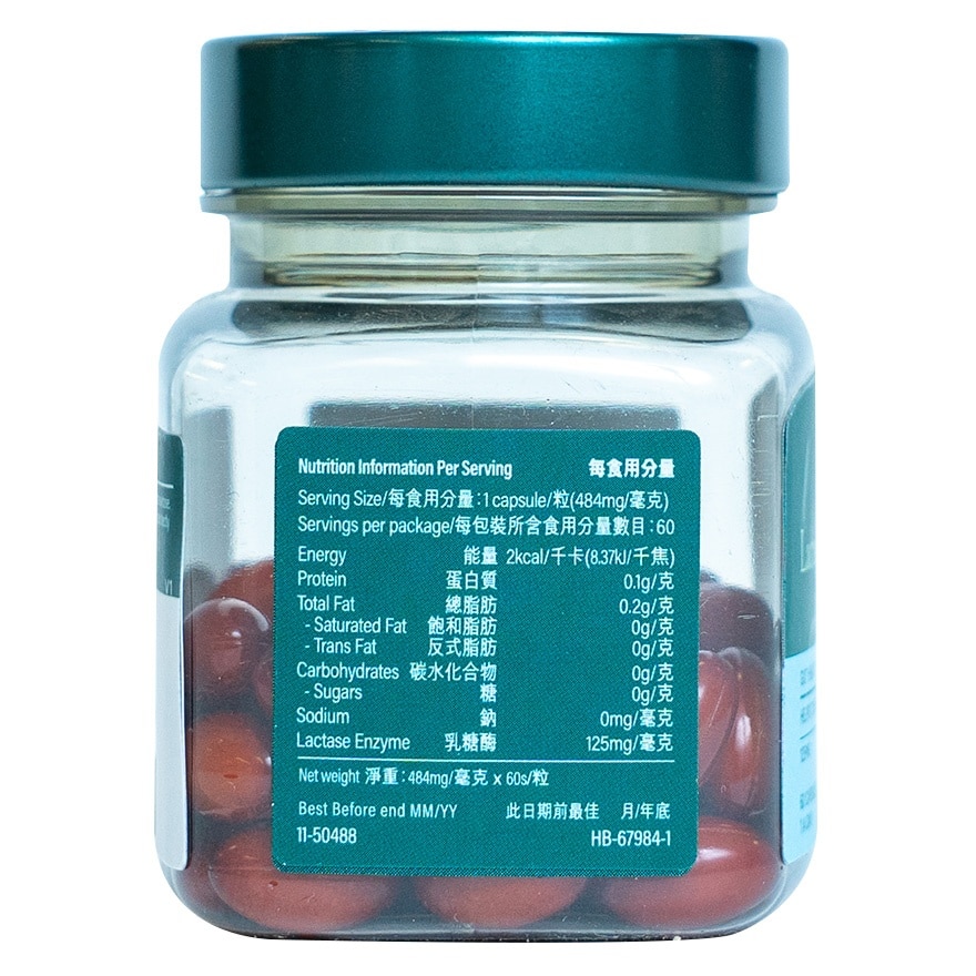 H&B 速效乳糖酵素補充劑 125毫克 60粒