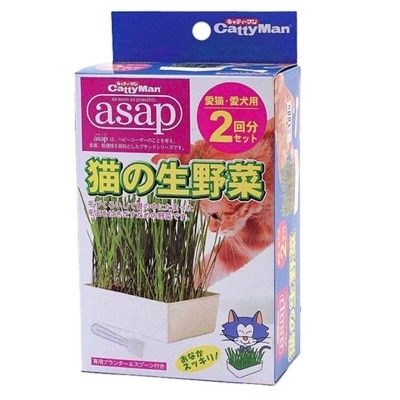 CATTYMAN - 鲜猫草种植套装(2包装)- CattyMan