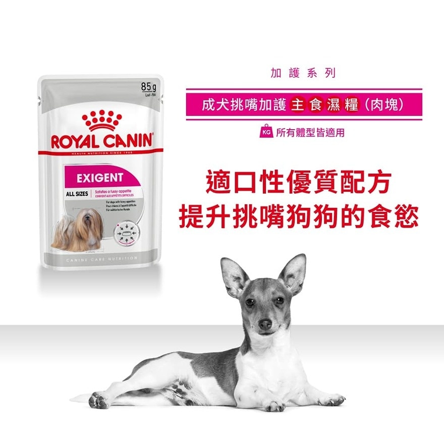 CCN Exigent Adult Dog Pouch (Loaf) (85g)  - ROYAL CANIN
