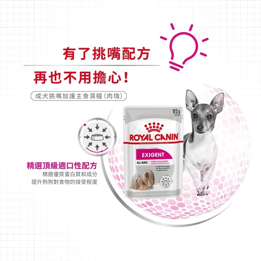 CCN Exigent Adult Dog Pouch (Loaf) (85g)  - ROYAL CANIN