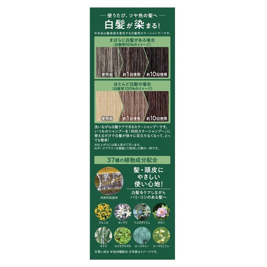 利尻昆布白髮染色洗髮露深棕色