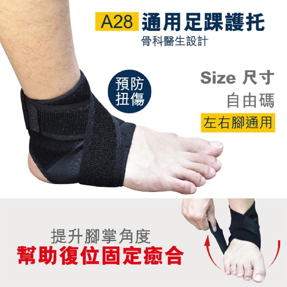 Universal Ankle Support