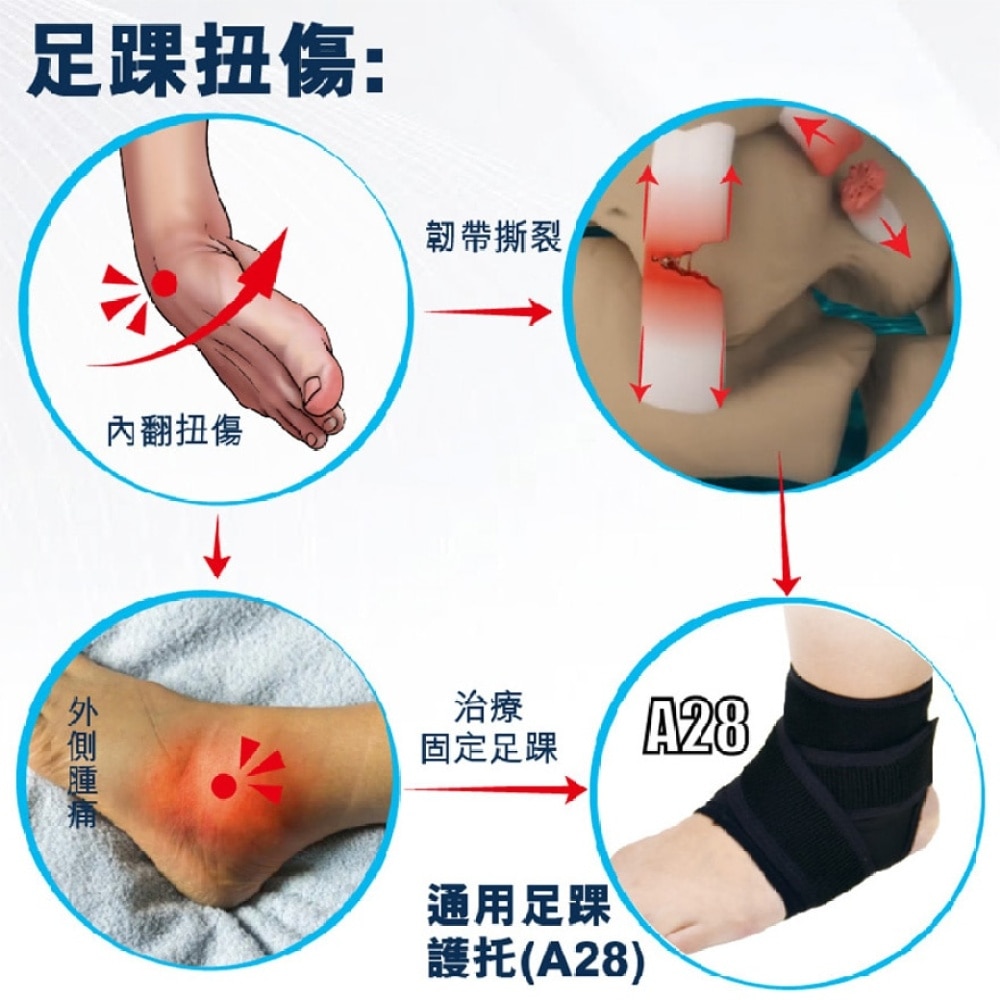 Universal Ankle Support