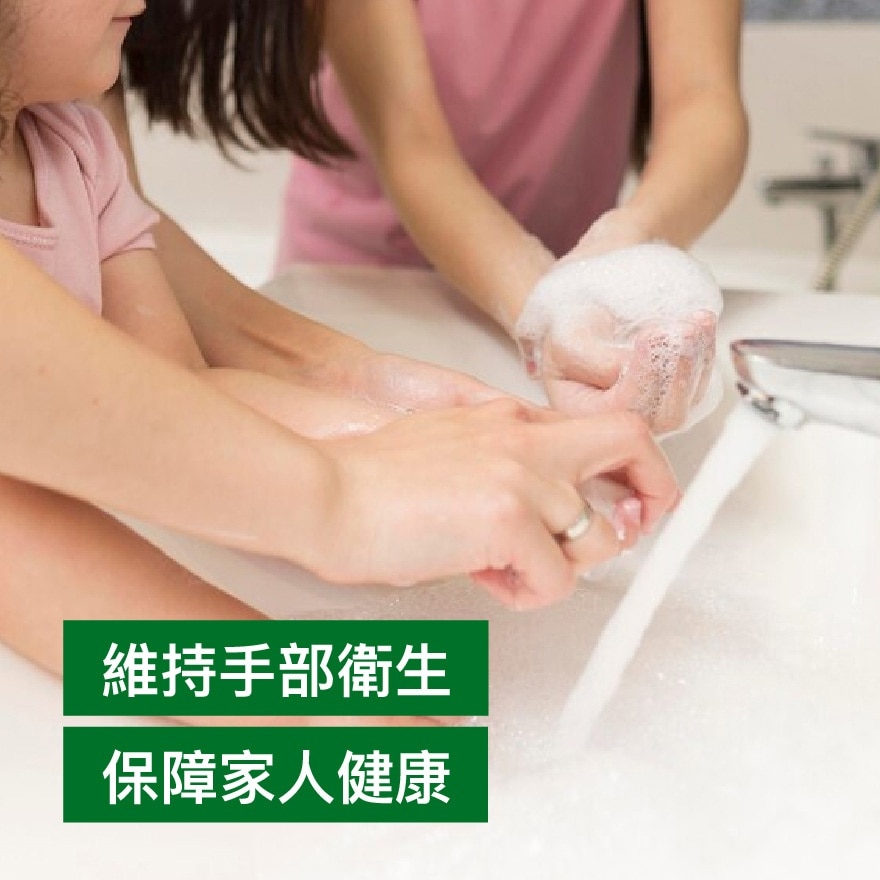 滴露經典松木殺菌潔手液500克