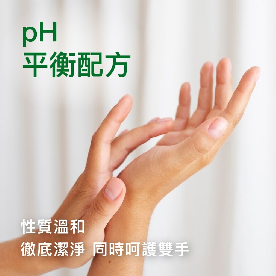 滴露經典松木殺菌潔手液500克