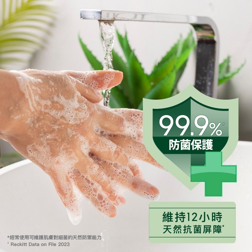 滴露經典松木殺菌潔手液500克