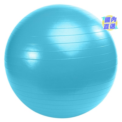 ROLFISPORT 瑜伽球 (連泵)