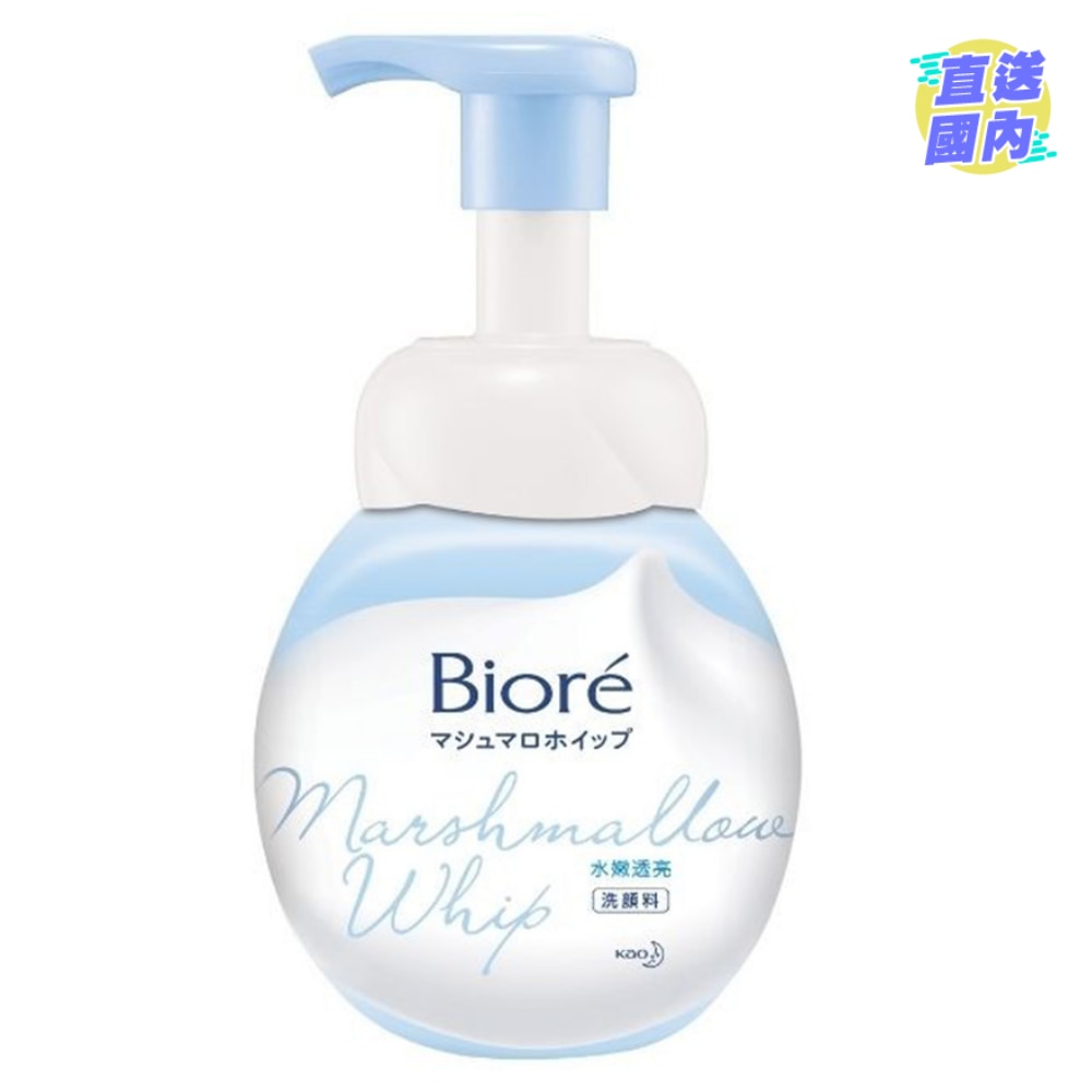 Biore Facial Wash Foaming Mild