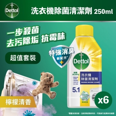 DETTOL 滴露洗衣机除菌清洁剂250毫升x6(原箱)