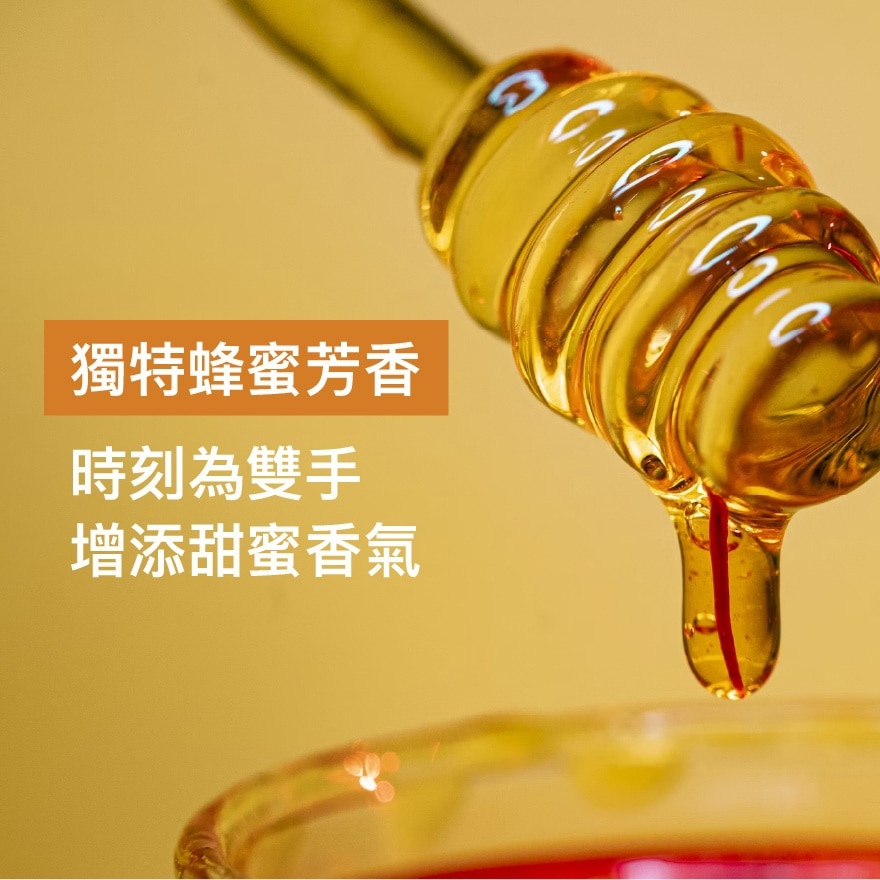 滴露經典保護殺菌潔手液５００克