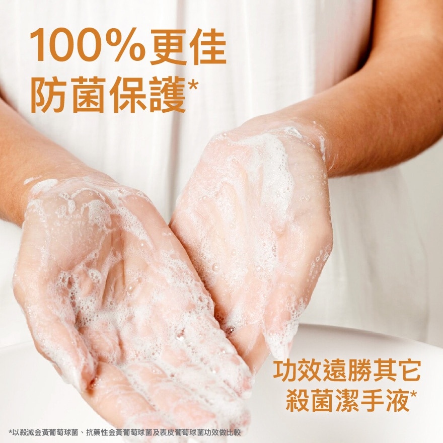 滴露經典保護殺菌潔手液５００克