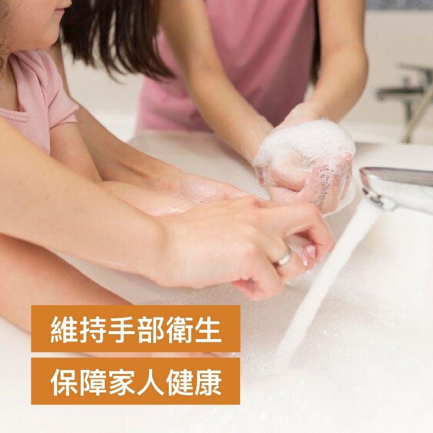 經典保護殺菌潔手液500克3支裝