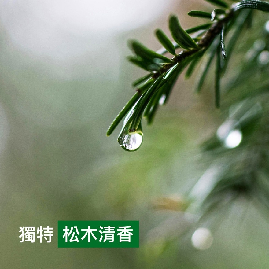 酒精搓手液(款式隨機送出)