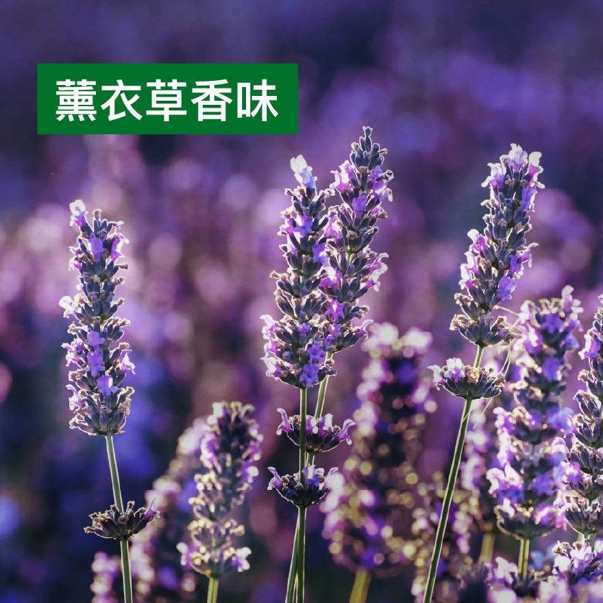 地板清洁剂 - 薰衣草香味