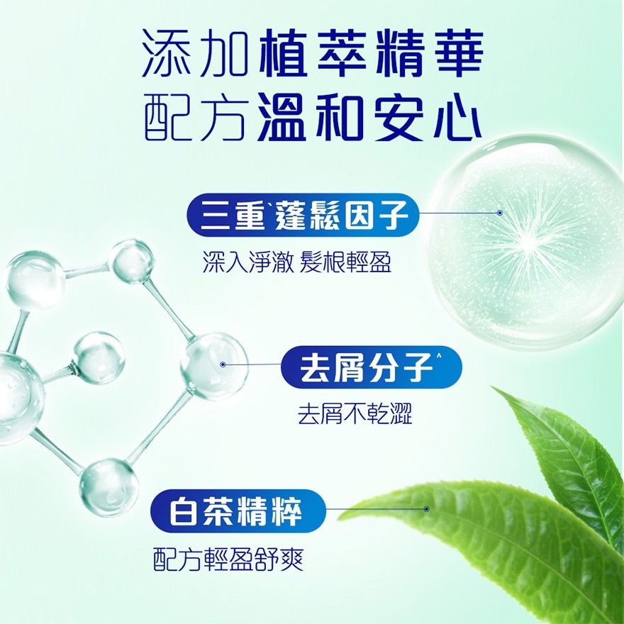 飄柔蓬鬆去屑洗髮露套裝 750克 x 2支