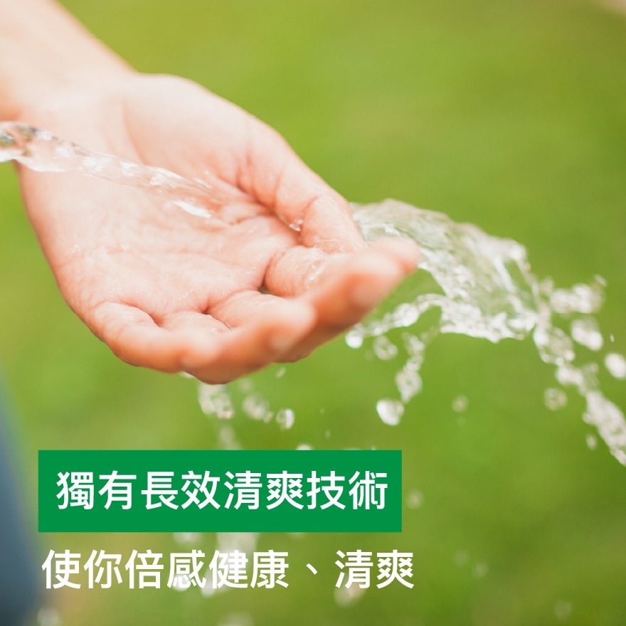 HAND WASH LASTING FRESH PPK