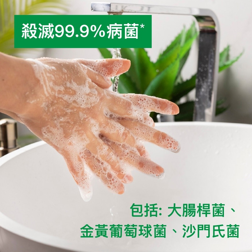 HAND WASH LASTING FRESH PPK