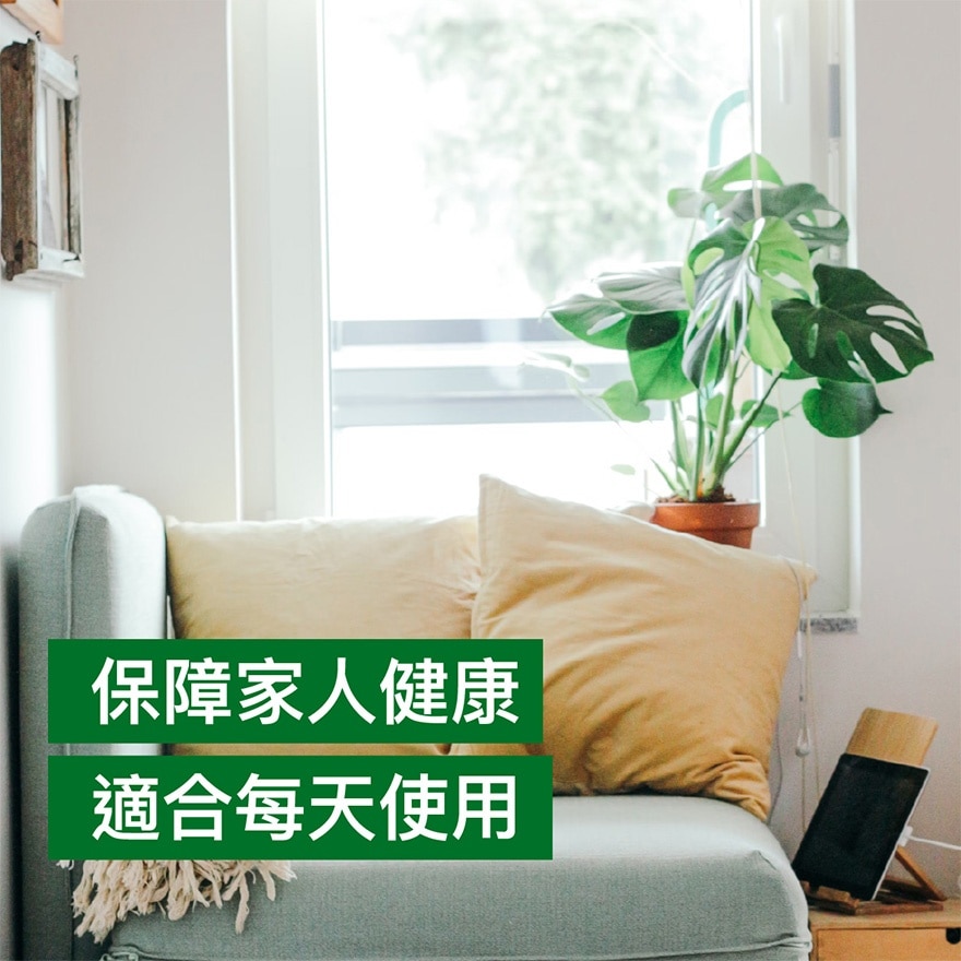 滴露經典松木沐浴露