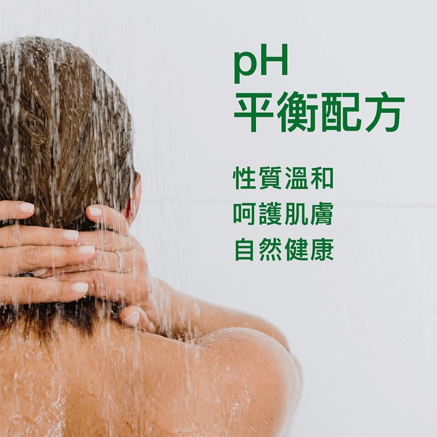 滴露經典松木沐浴露