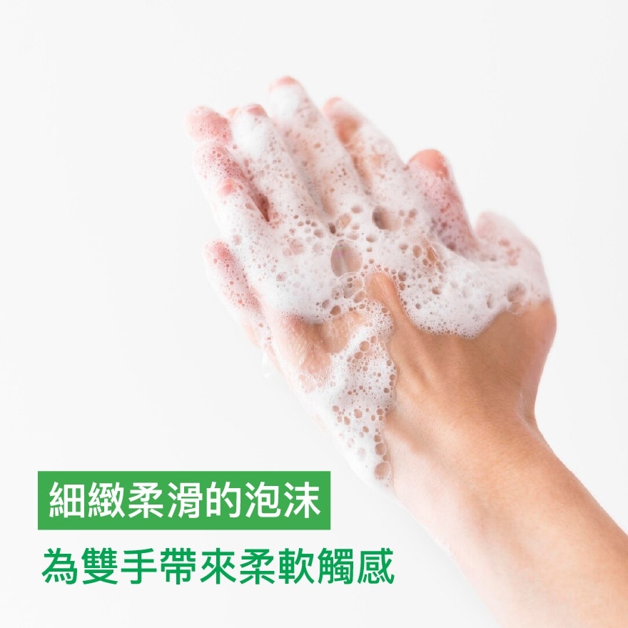 Dettol Foam Anti-Bacterial Hand Wash Aloe Vera 250ml
