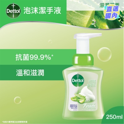 DETTOL 滴露滋潤蘆薈泡沫潔手液250ml