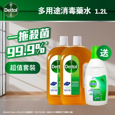 Dettol 消毒液 除菌液 1リットル 2本セット DETTOL DETTOL AL 1.2L TP + LS 750ML | Household | Watsons Hong Kong