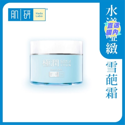 HADA LABO 肌研极润保湿冰感霜 50g