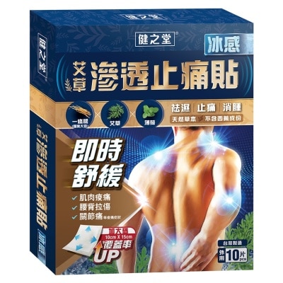 HMT  Chinese Herbal Pain Relieving Patch (Ice Cooling) 10S