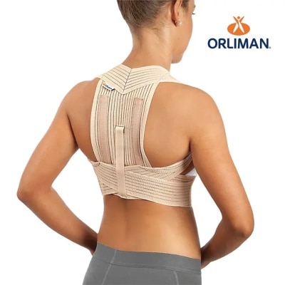 Orliman ET-220 Reinforced Breathable Upper Back Support 105-130cm(Supplier Delivery–8 days)