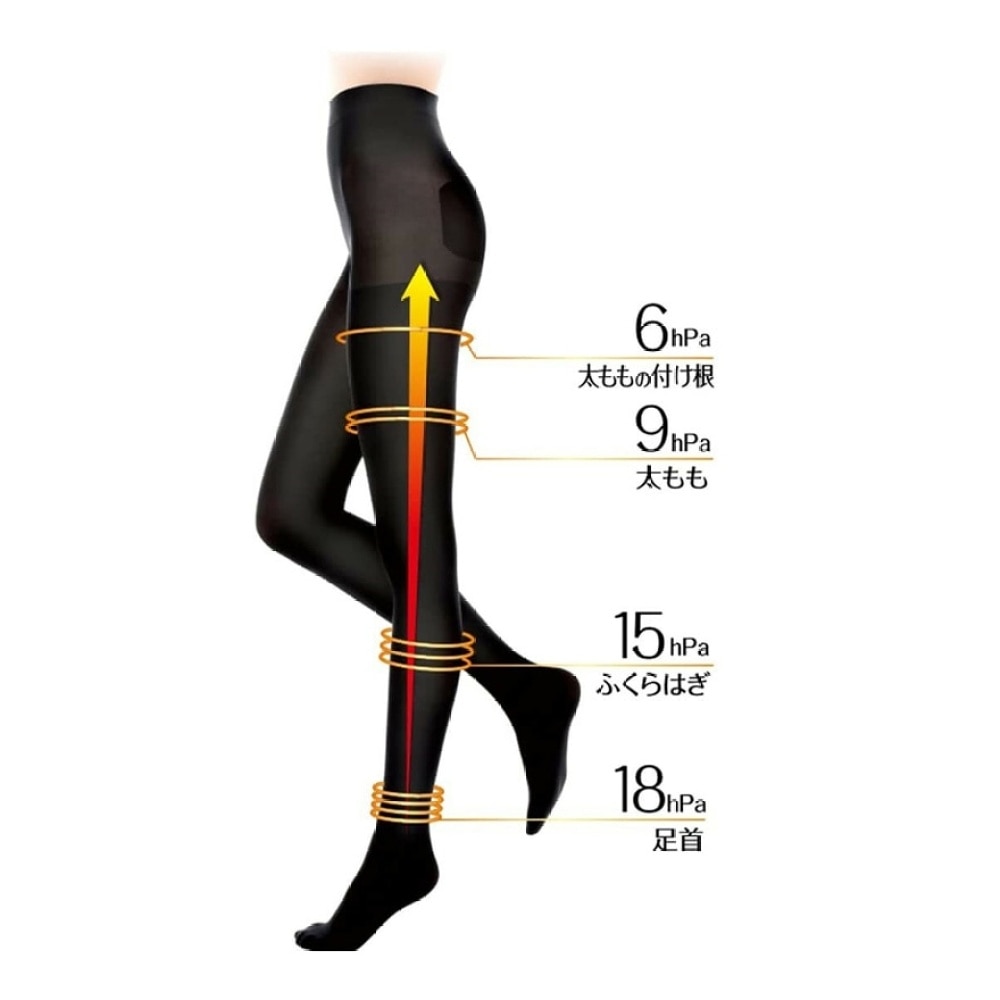 Leg Compression Tights, Stepped Pressure M-L Black 80D PH825(Supplier Delivery–8 days)