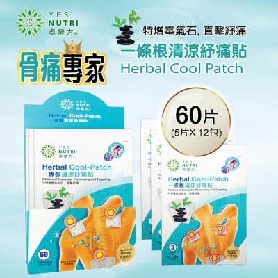 YESNUTRI YESNUTRI HERBAL COOL PATCH 60S