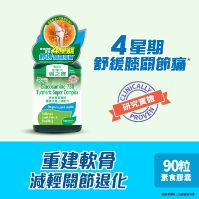 ADRIEN GAGNON - Glucosamine 750 Turmeric Super Complex (90 Capsules)