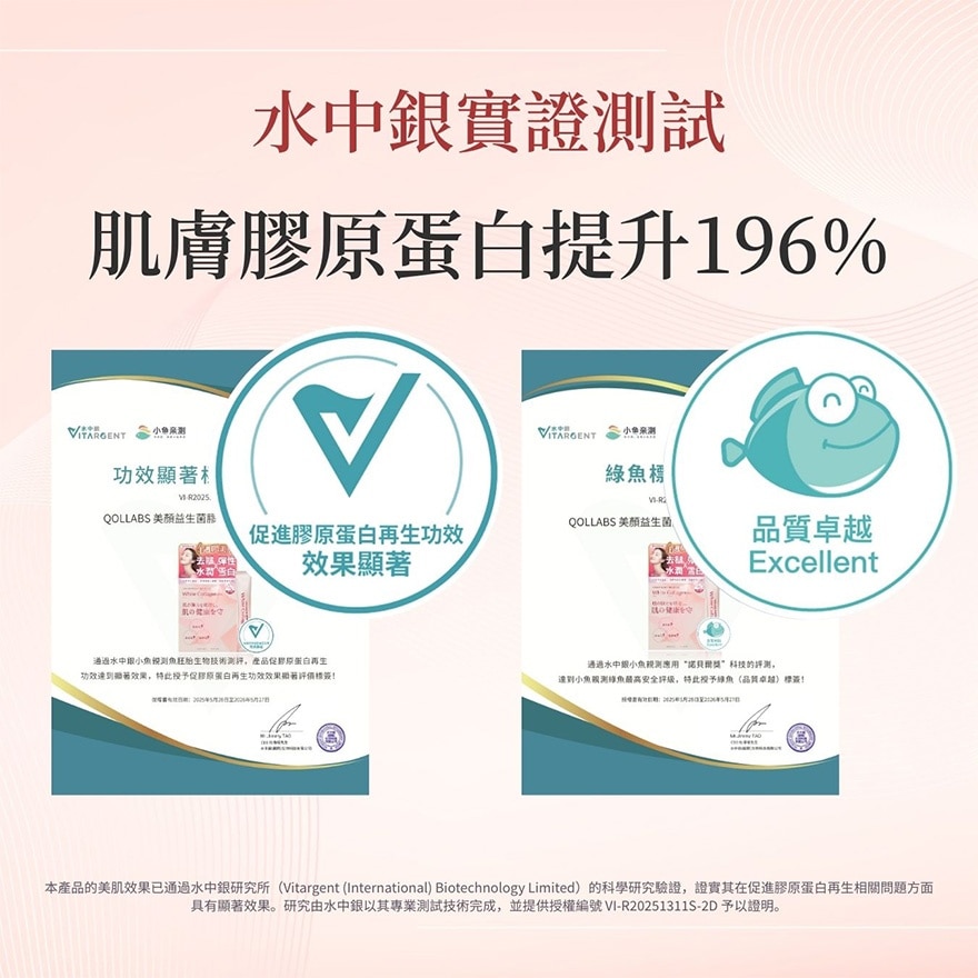 美顏益生菌膠原蛋白粉 (高效版) 獨立包裝 30日
