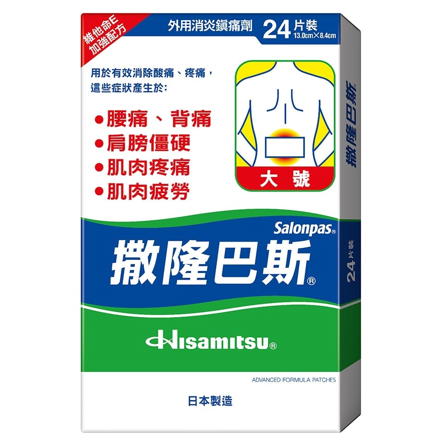 SALONPAS LARGE 24'S