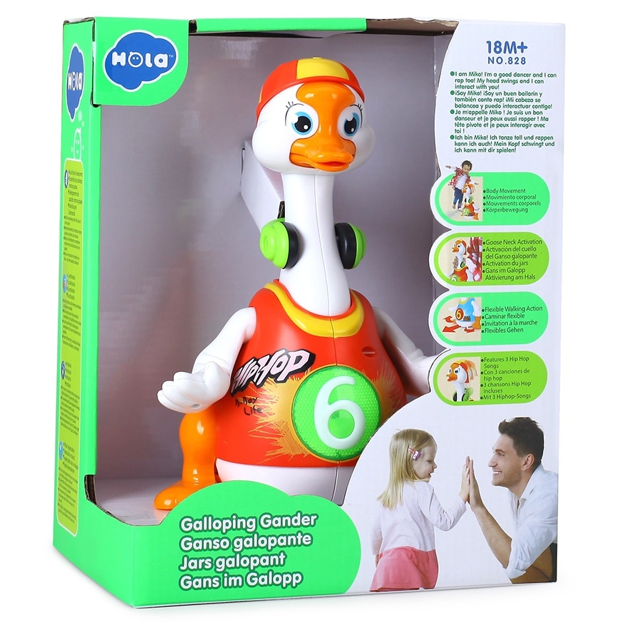 HOLA SWING GOOSE(SUPPLIER DELIVERY–10 WORKING DAYS)